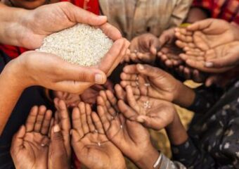 स्वस्थ भोजन प्रदान करें